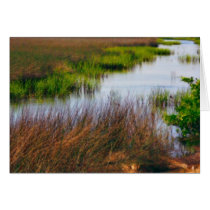 CRW_5643 crop.tif cards by PaulaShowen CRW_5643 crop.tif cards