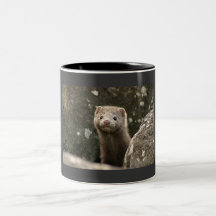 CRW_5974_RT8 MUG