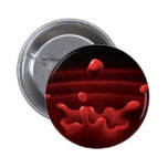 crying blood pins