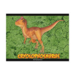 Cryolophosaurus postcard set