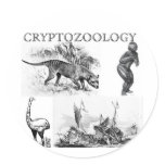 cryptozoology small sticker