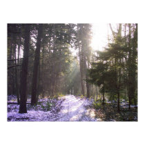 Crystal Air of Forest posters