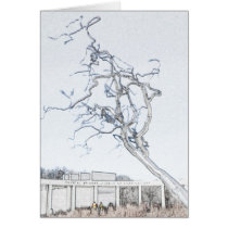 Crystal Bridges Museum of American Art cards