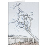 Crystal Bridges Museum of American Art Cards