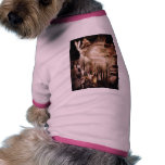 Crystal Cave Pet Shirt