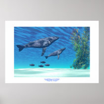 animal, background, beautiful, blue, brave, challenge, clear, mammal, concept, conceptual, escape, exploration, flee, flying, free, freedom, glass, isolated, liquid, lonely, motion, move, splash, splashing, spring, swim, tropical, underwater, water, whale, ocean, sea, creature, humpback, sperm, cow, calf, reefs, Cartaz/impressão com design gráfico personalizado