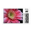 Crystal Clear Stamp by designcreatology Crystal Clear Stamp