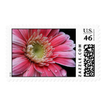 Crystal Clear Stamp by designcreatology Crystal Clear Stamp