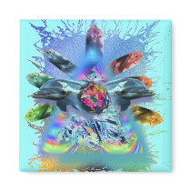 crystal conscious lite dolphins magnets