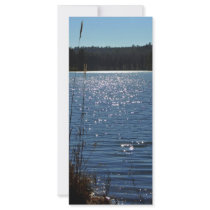 Crystal Lake 2 Rack Card Design