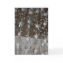 Crystal Light-fittings Card