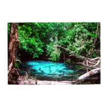 Crystal Pond Posters