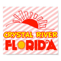 Crystal River, Florida posters