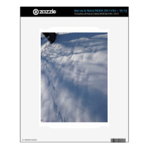 Crystal snowscene skins for the NOOK