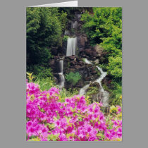 Crystal Springs Garden 1 cards
