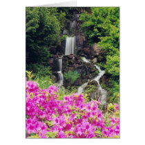 Crystal Springs Garden 1 cards by krickerd Crystal Springs Garden 1 cards
