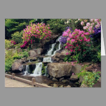 Crystal Springs Garden 2 cards