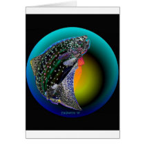 CRYSTAL TROUT cards