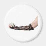 CrystalBallHold Refrigerator Magnets