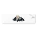 CrystalBallSkull033109 bumper stickers