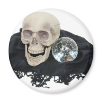 CrystalBallSkull033109 Fridge Magnets