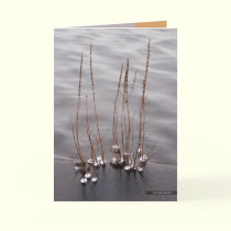 Crystaline Edge cards by MoiraAshleigh Crystaline Edge cards