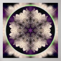 Crystaline posters