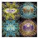 Crystallite Waves 5 posters by Algofractals Crystallite Waves 5 posters