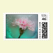 Crystallized Carnation postage
