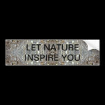 Crystallized Dandelions bumper stickers