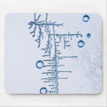 Crystallosaurus rex mousepads by Nushka Crystallosaurus rex mousepads