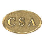 CSA Civil War Sticker