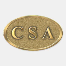 CSA Civil War Sticker
