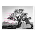 CSC_0079, 9077~Oak-Tree-Sunrise-Posters, CSC_00... business cards by intolerable CSC_0079, 9077~Oak-Tree-Sunrise-Posters, CSC_00... business cards