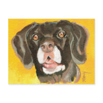 Cserhalmi's Spike postcards by dogdaysofpainting Cserhalmi's Spike postcards