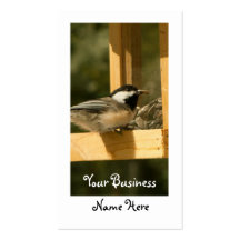 CSNA Chickadee Snacktime Business Card