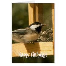 CSNA Chickadee Snacktime Card
