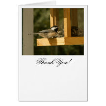 CSNA Chickadee Snacktime Card
