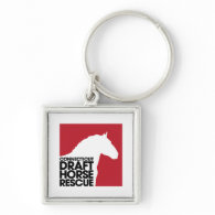 CT Draft Horse Rescue button keychain
