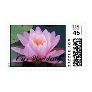 CT- Pink Lily Wedding Postage stamp