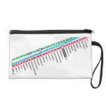 CTA Map Handbang bagettes bags