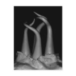 Cthulhu Rises Postcard