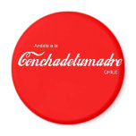 CTM magnets