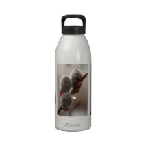 CTR Catkin Trio Reusable Water Bottle