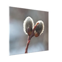 CTW Catkin Twins Gallery Wrap Canvas