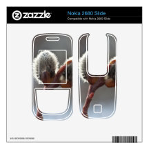 CTW Catkin Twins Nokia 2680 Slide Decal
