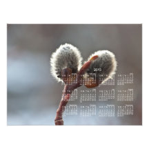 CTW Catkin Twins Photographic Print