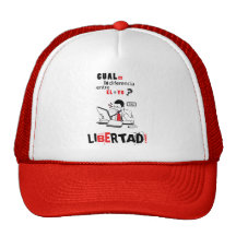 Cual es la diferencia mesh hats