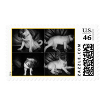 Cuatro Lolitas postage