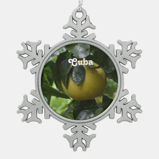cuba grapefruit ornament cuba grapefruit ornament